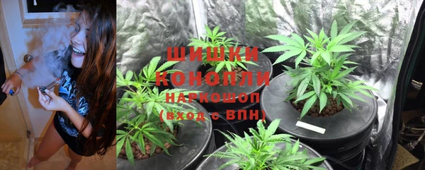 каннабис Алзамай