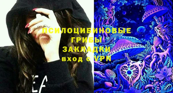 гидра Алексеевка