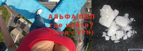 гидра Алексеевка