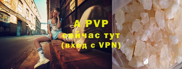 гидра Алексеевка