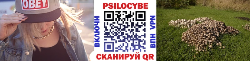 МЕГА вход  Микунь  Галлюциногенные грибы GOLDEN TEACHER  купить наркоту 